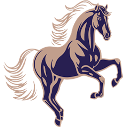 Fillmore Capital Partners