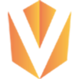 Vision Investment Partners
