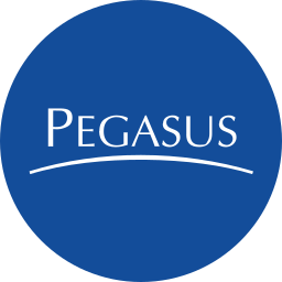 Grupo Pegasus