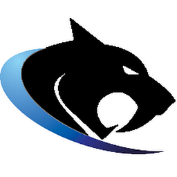 Wildcat Lending