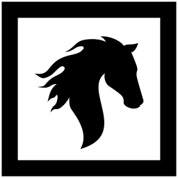 Stallion Capital Management