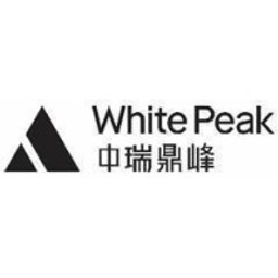 WP Real Estate, Inc.