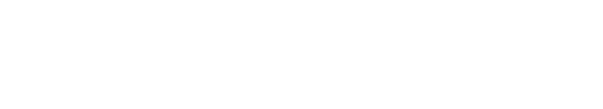 TwinFocus