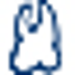 Wasserstein Perella & Company