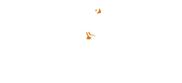 Puffin Point