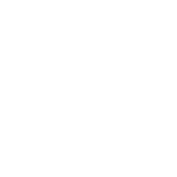 Treehouse Global Ventures