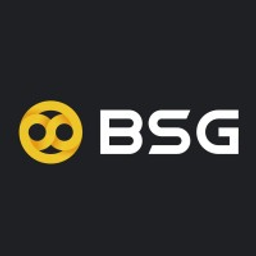 BSG Group