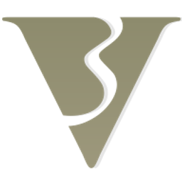 V3 Partners