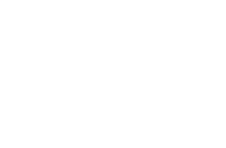 Cannondale Capital Investors