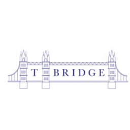 T Bridge Venture Partners