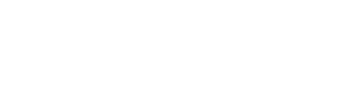 LVL1 Group