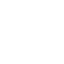 Olive Tree Ventures