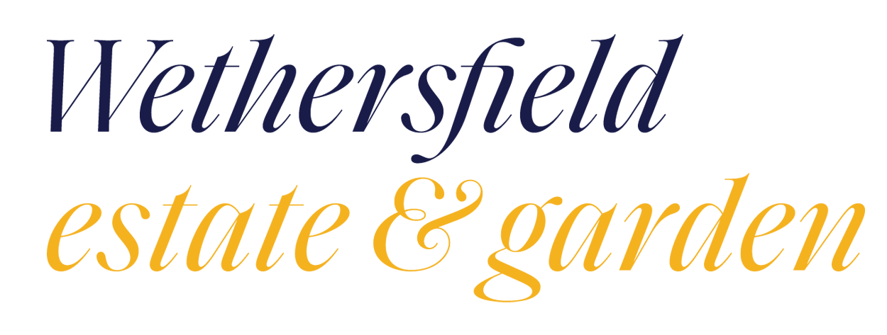 Wethersfield Foundation