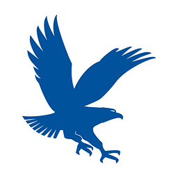Embry-Riddle Aeronautical University