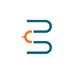 Capital Insight
