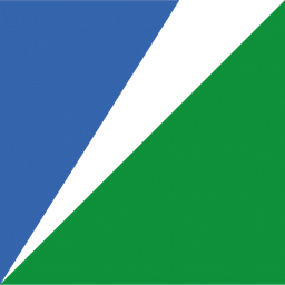 Kidron Corporate Advisors