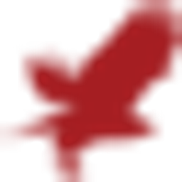 Hawk Capital Partners