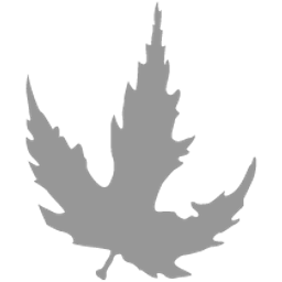 Silver Investment Partners