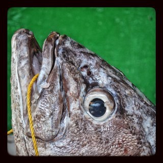 Salvatore Longobardo