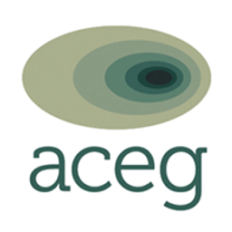 ACEG Beteiligungsgesellschaft