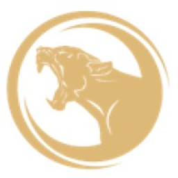 Black Panther Capital