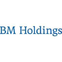 BM Holdings