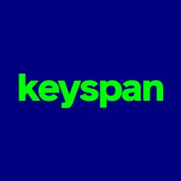 Keyspan Corporation Non-Union Medical Veba Master Trust