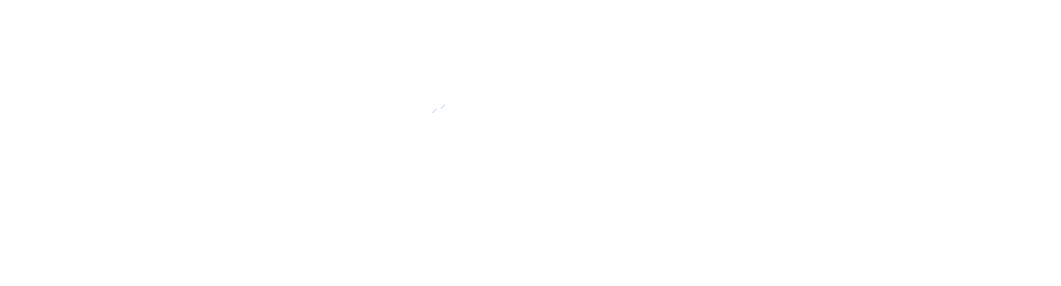 The Wyss Foundation