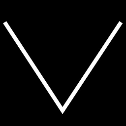 The Vilcek Foundation