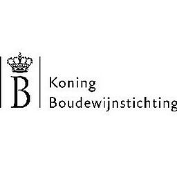 King Baudouin Foundation