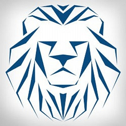 Lions Financial Group