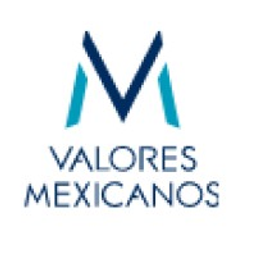 Valores Capital Partners