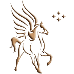Pegasus Intellectual Capital Solutions