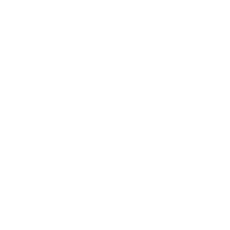 Moonvalley Capital
