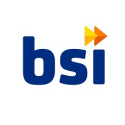 Business Strategies International