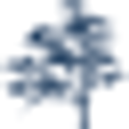 Comstock Capital & Advisory Group