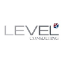 Level X Consulting