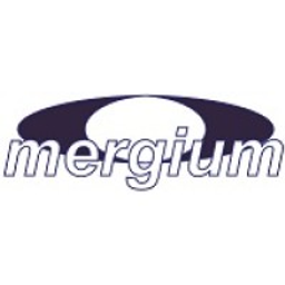 Mergium Advisors