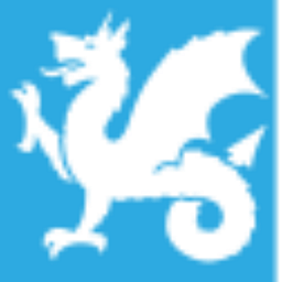 Wyvern Partners
