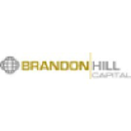 Brandon Hill Capital Limited