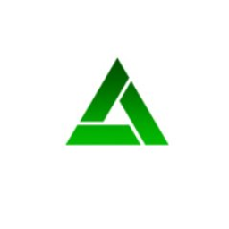 Triad Securities Corp.