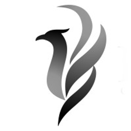 Phoenix Corporate Finance Inc.
