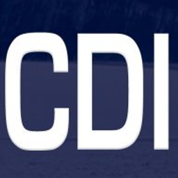 The CDI Group