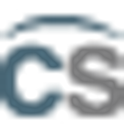 The Capital Solutions Group