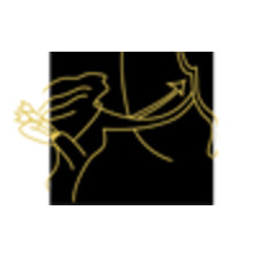 Artemis Holdings Group