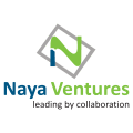 Dallas Venture Capital