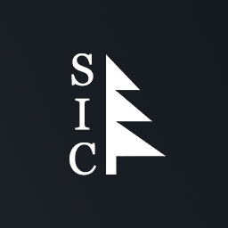 Sawyer Island Consulting