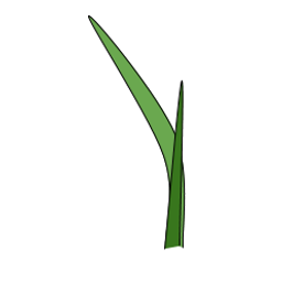 First Leaf Capital
