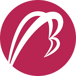 Betatron Venture Group