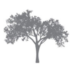 Magnolia Ventures  